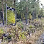 Elaemyksellinen Tuurujaerven Rannalla. *