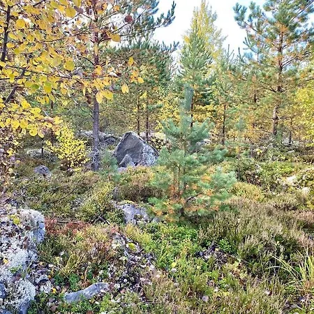 Elaemyksellinen Tuurujaerven Rannalla. Willa