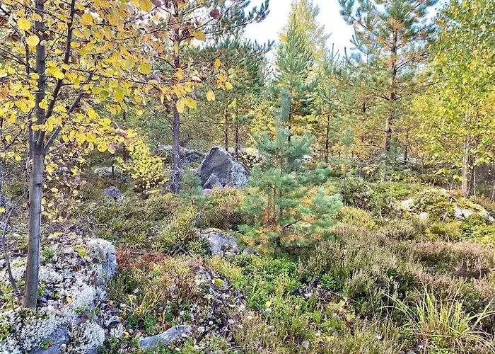 Elaemyksellinen Tuurujaerven Rannalla. Willa