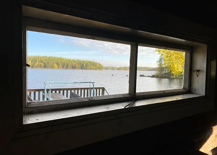 Elaemyksellinen Tuurujaerven Rannalla. Willa